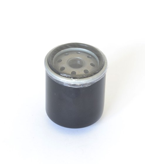 BEVERLY 125 (2002 - 2012) oil filter | ATHENA