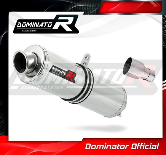 X10 125 (2012 - 2016) exhaust silencer round | Dominator