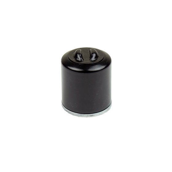 BEVERLY 125 (2002 - 2012) oil filter | ATHENA