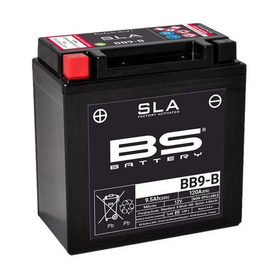 150 SKIPPER LX/ST (1993 - 2004) sla battery 12v 115a | BS BATTERY