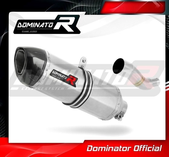 X9 125 (2000 - 2009) exhaust silencer hp1 | Dominator