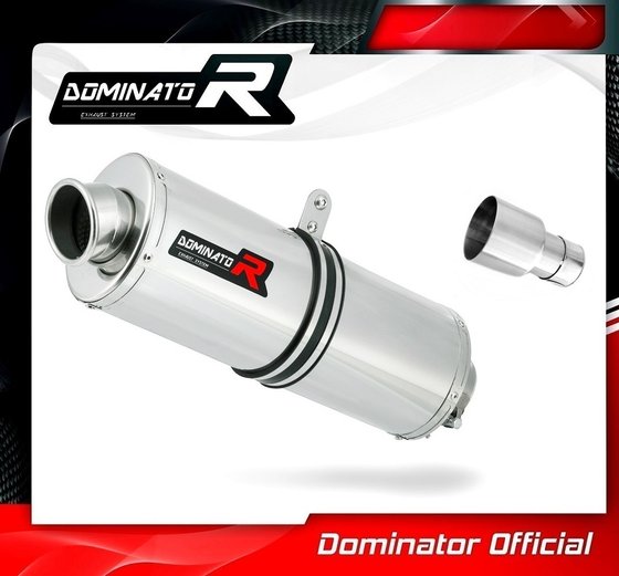 X10 125 (2012 - 2016) exhaust silencer oval | Dominator