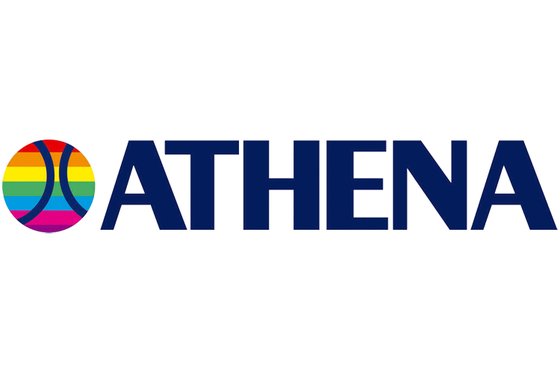 FREE 50 (1995 - 2002) carbon reed valves | ATHENA